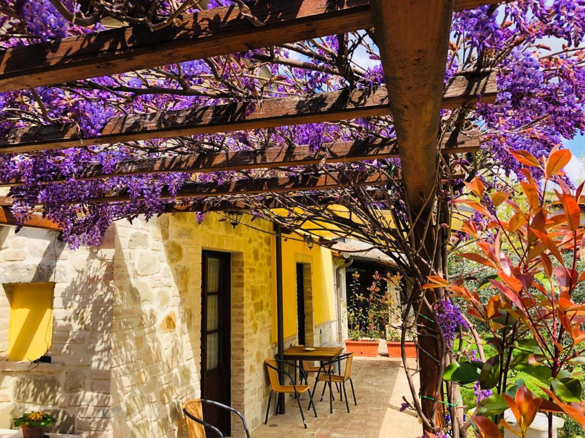 Il Cortile Delle Rose Holiday House Perugia Exterior foto